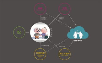 天下孝子 智慧养老 信息系统集成服务的方兴未艾